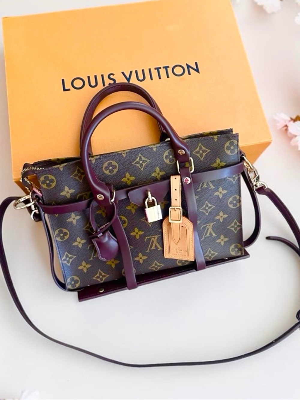 Louis Vuitton Clutch with Encasement Bag